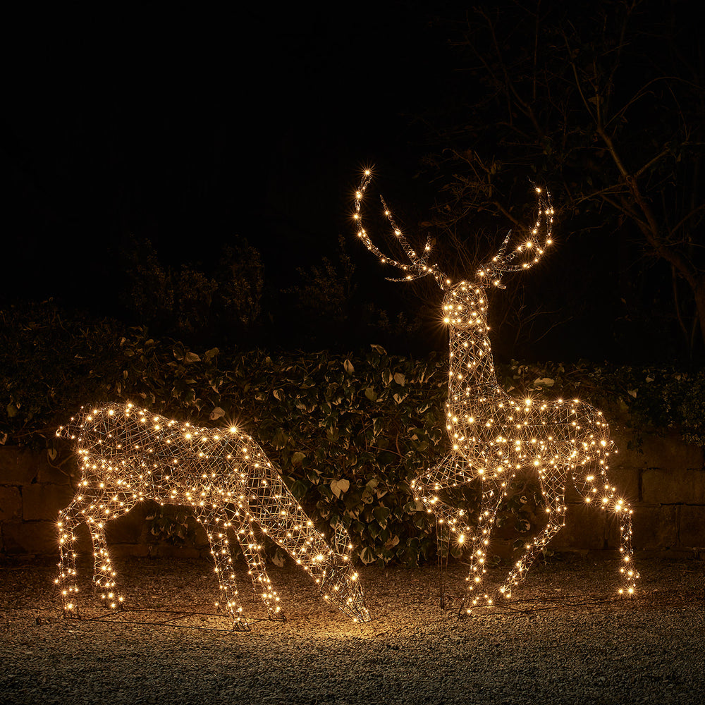 Zwei LED-Rentiere mit warmweißen Lichtern in einem dunklen Garten