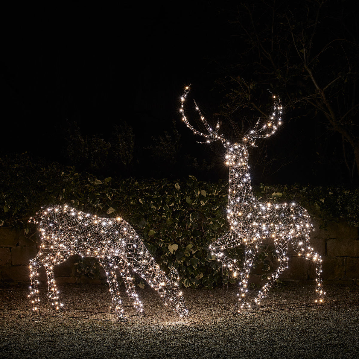 Zwei LED-Rentiere mit gemischten warmweißen und eisig weißen Lichtern im Garten