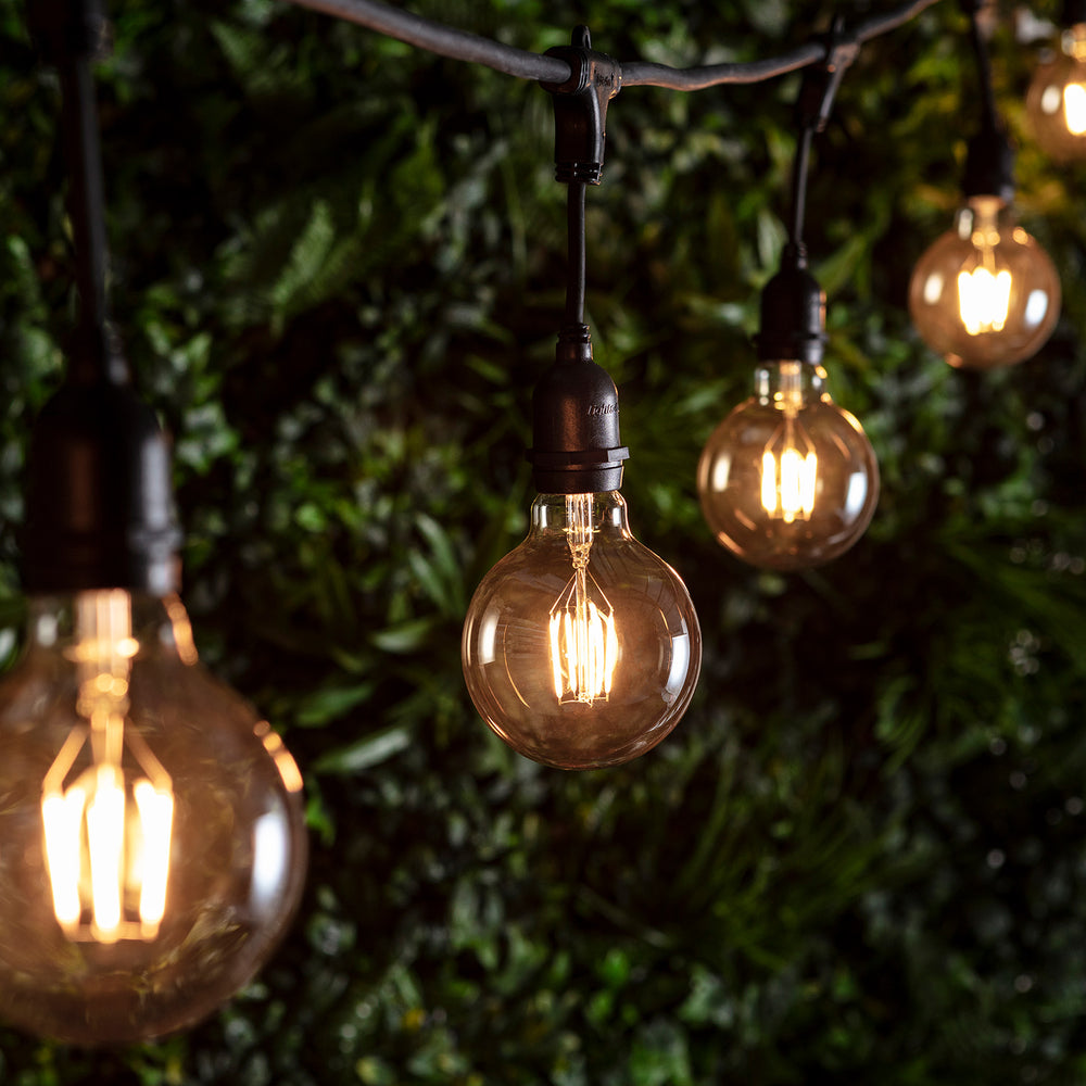 Mehrere leuchtende Globe LED Vintage Glühbirnen an schwarzem Kabel vor grüner Pflanzenwand
