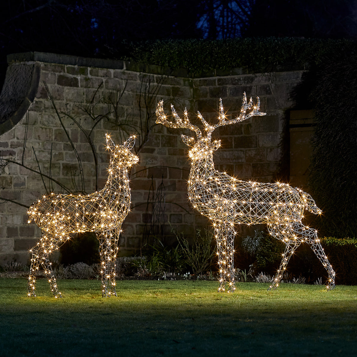 Zwei große LED Rentierfiguren mit warmweiß leuchtenden Lichtern im Garten vor Steinmauer