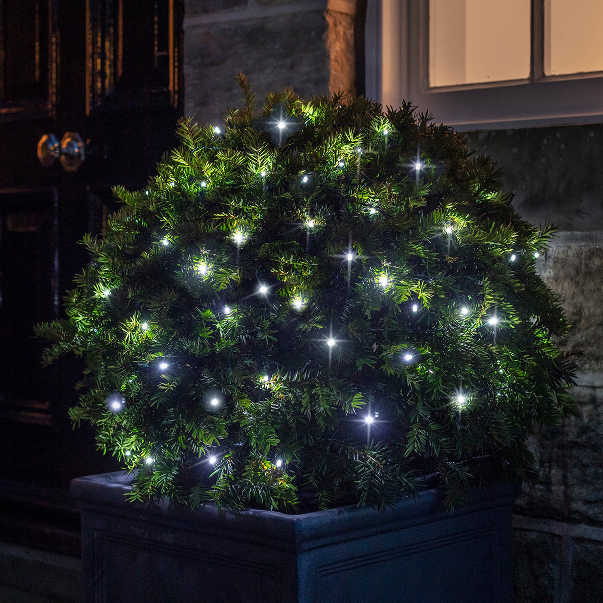 Weiß leuchtende LED Lichterkette dekoriert einen grünen Strauch in einem Pflanzkübel bei Nacht