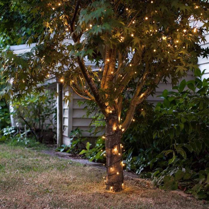 Warmweiße LED Lichterkette um einen Baumstamm im Garten gewickelt bei Dämmerung