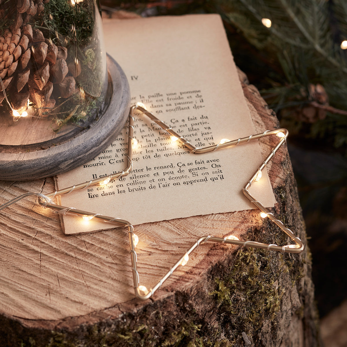Goldener LED-Stern liegt auf einem Holzstamm neben einem Glas mit Tannenzapfen