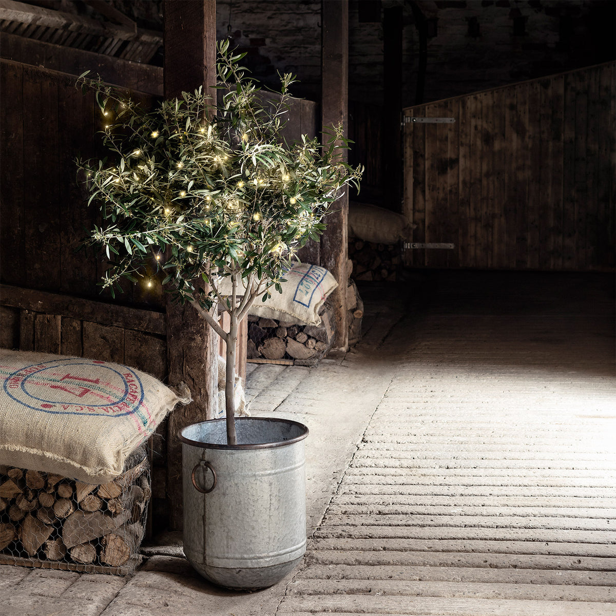 Kleiner Baum in Metalltopf mit warmweißen LED-Lichterketten in dunklem Raum