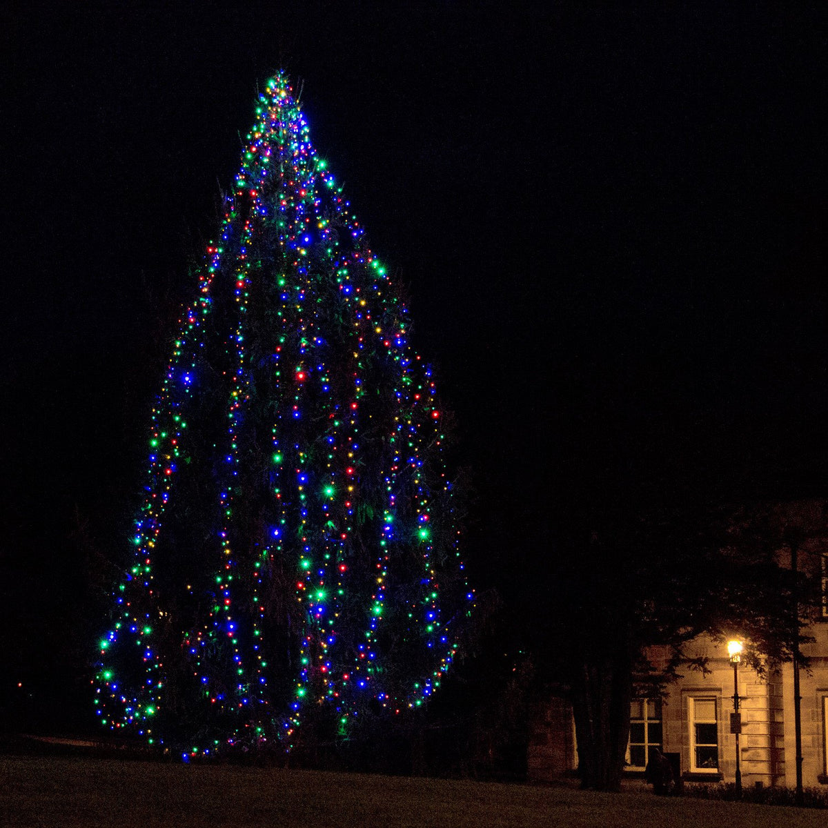 Großer Weihnachtsbaum draußen mit bunter LED-Lichterkette bei Nacht vor beleuchtetem Gebäude