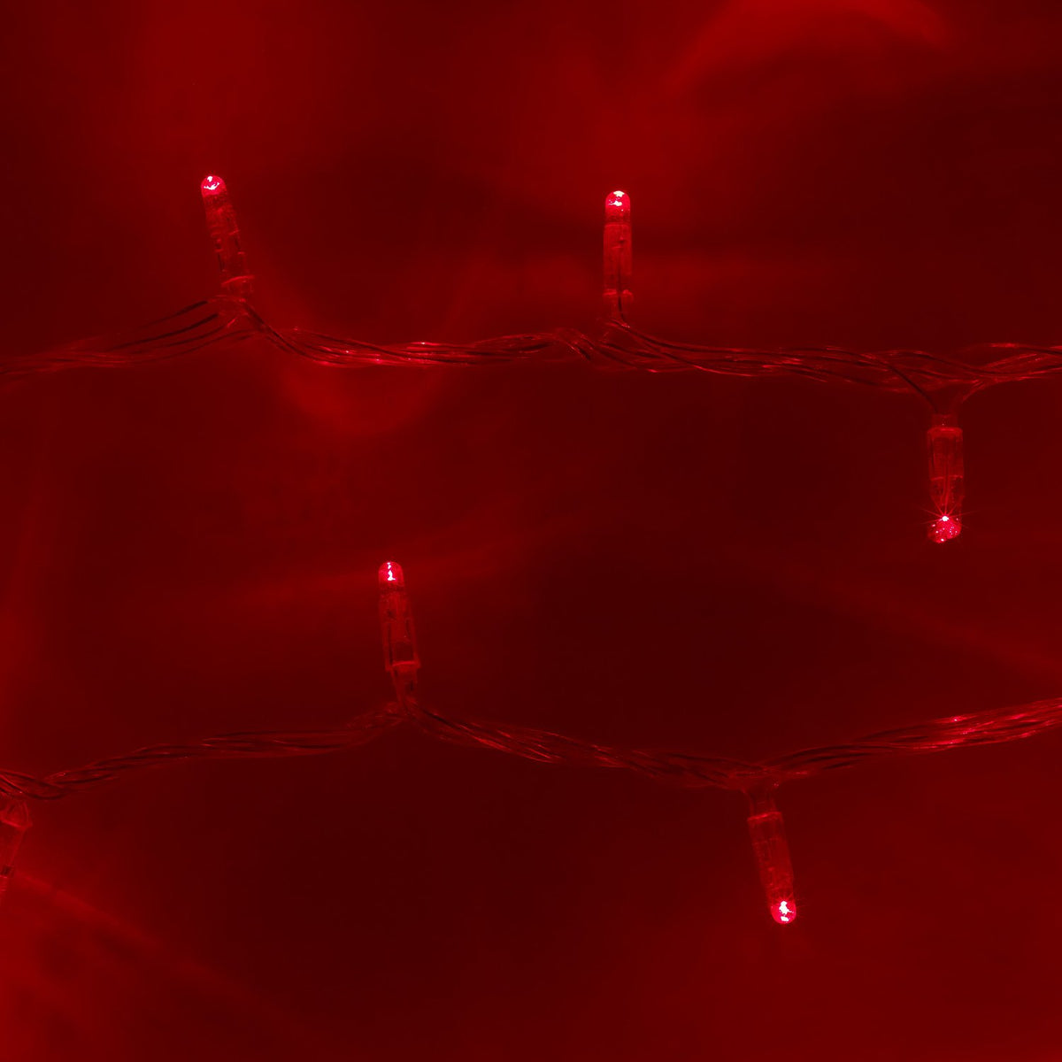 Nahaufnahme rote LED-Lichterkette mit transparentem Kabel und einzelnen Leuchtpunkten