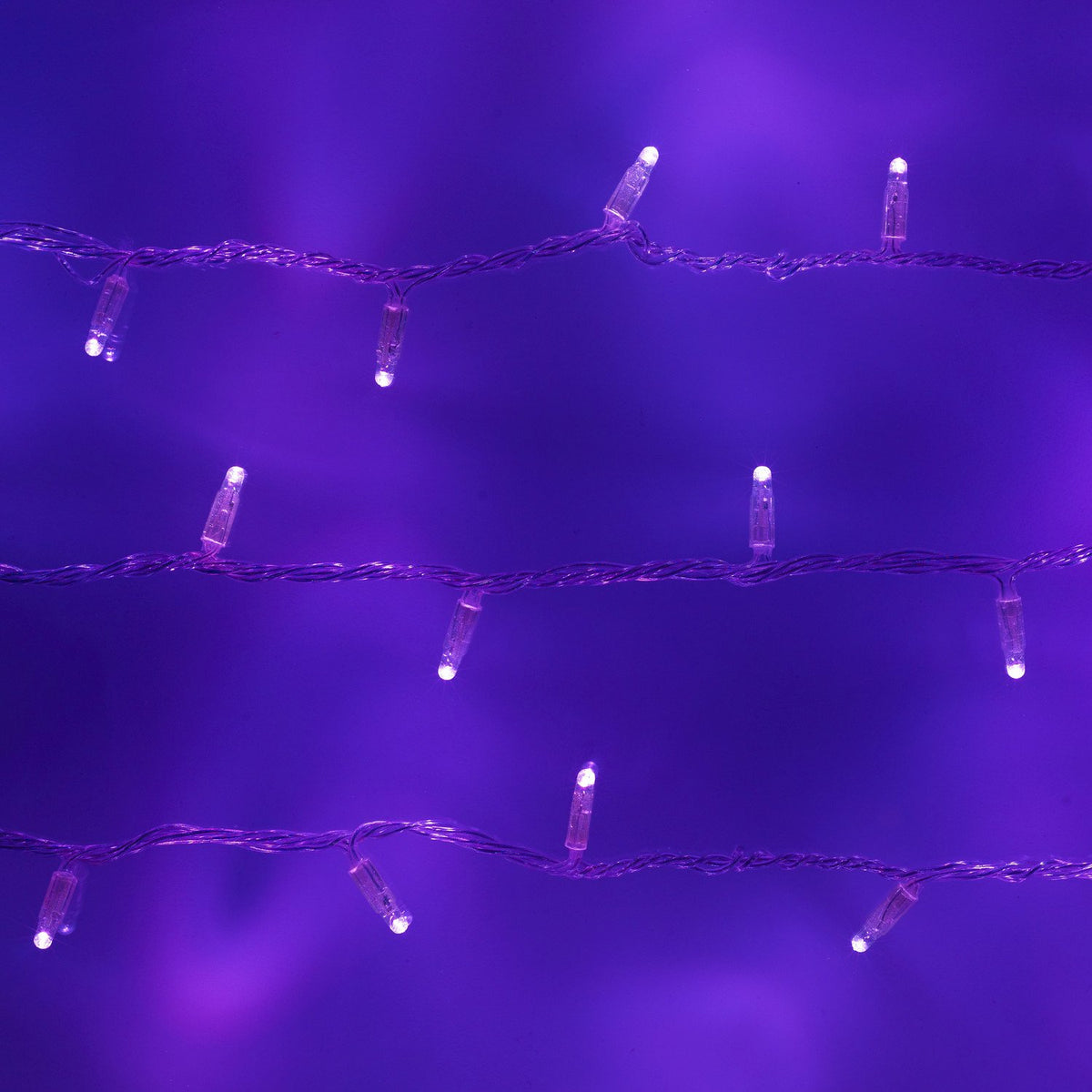 Nahaufnahme von lila LED-Lichterkette mit transparentem Kabel und einzelnen LEDs