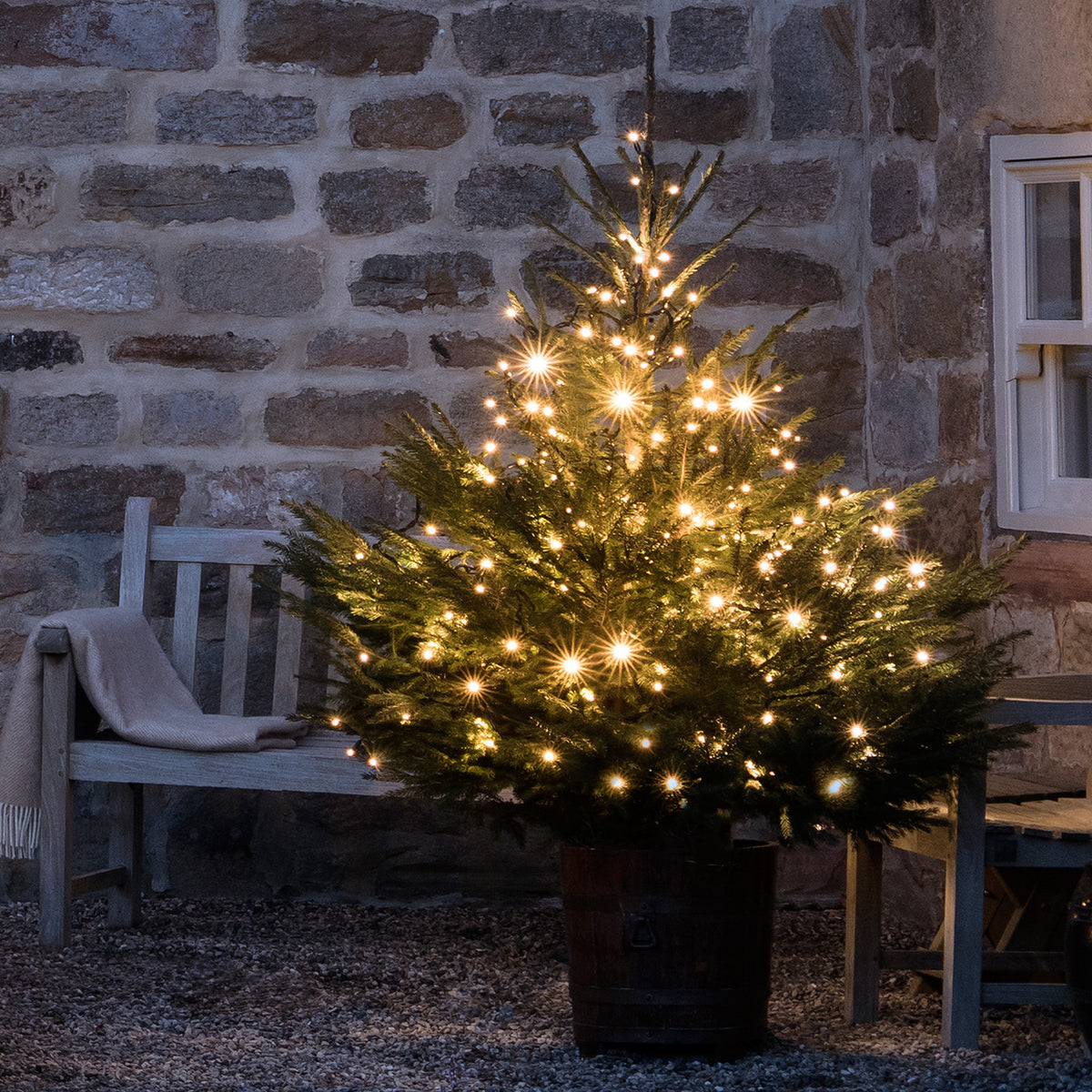 Kleiner Weihnachtsbaum mit warmweißer LED Lichterkette vor Steinmauer und Holzbank
