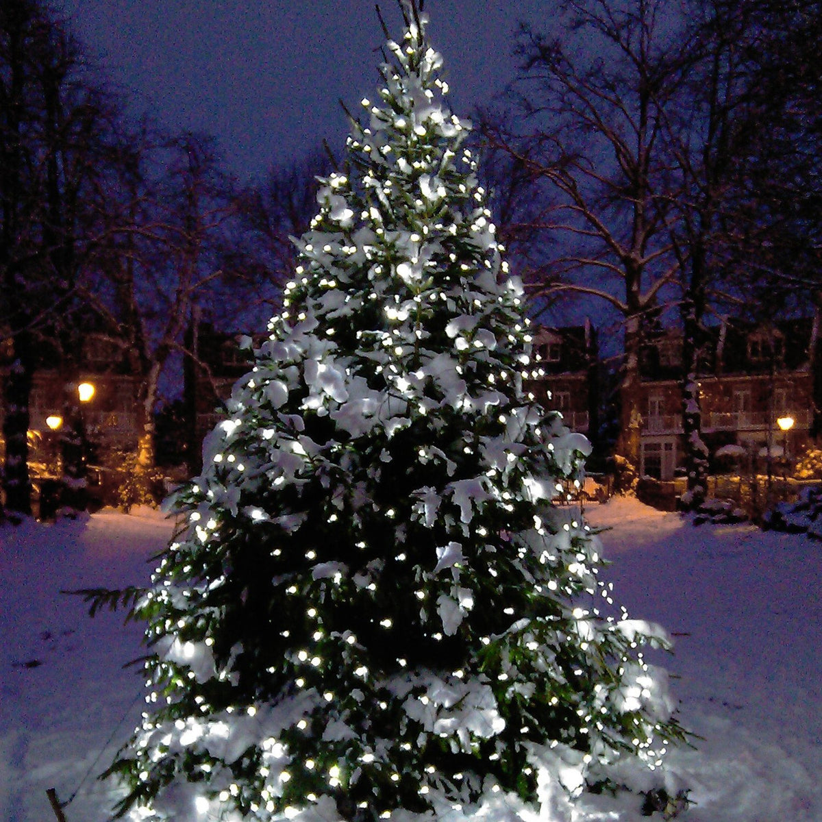 Weihnachtsbaum mit weißem LED-Lichternetz und Schnee im Dunkeln