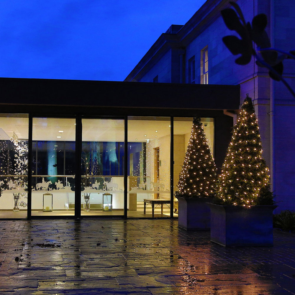 Zwei Tannenbäume mit warmweißen LED-Lichternetzen vor einem modernen Gebäude bei Nacht