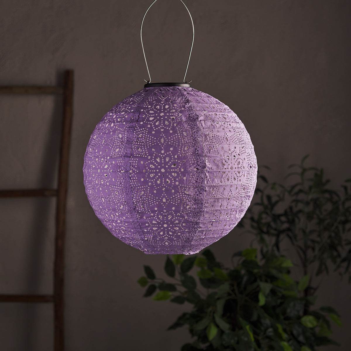 Lila Tyvek Solar Lampion mit Blumenmuster ohne Beleuchtung vor dunklem Hintergrund