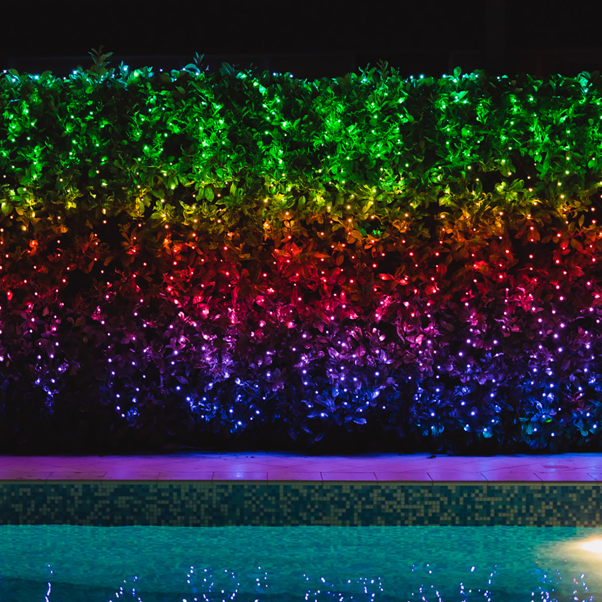 LED-Lichtervorhang mit bunten Lichtern an einer Hecke über einem Pool