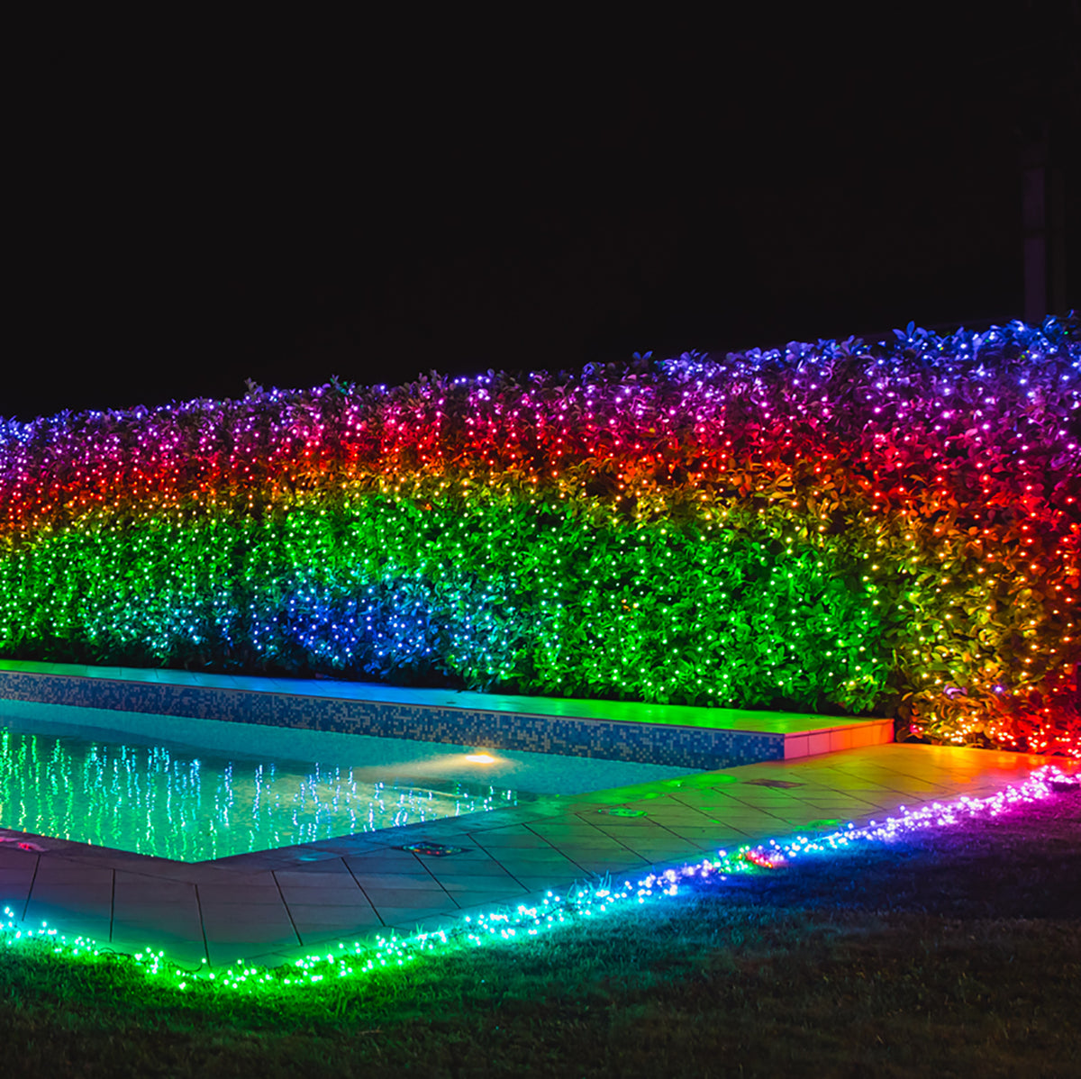 Bunter LED-Lichtervorhang an einer Hecke neben einem beleuchteten Pool