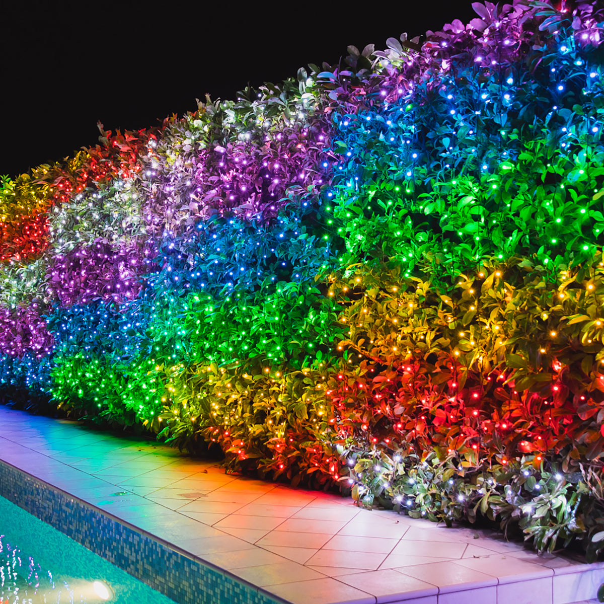 Bunte LED-Lichterkette als Lichtervorhang an einer Hecke bei Nacht