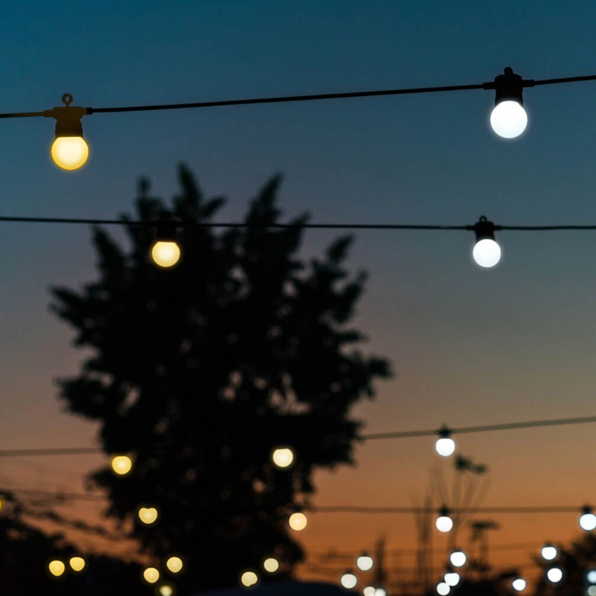 Mehrere LED-Glühbirnen einer Lichterkette leuchten orange und weiß vor einem Baum bei Sonnenuntergang
