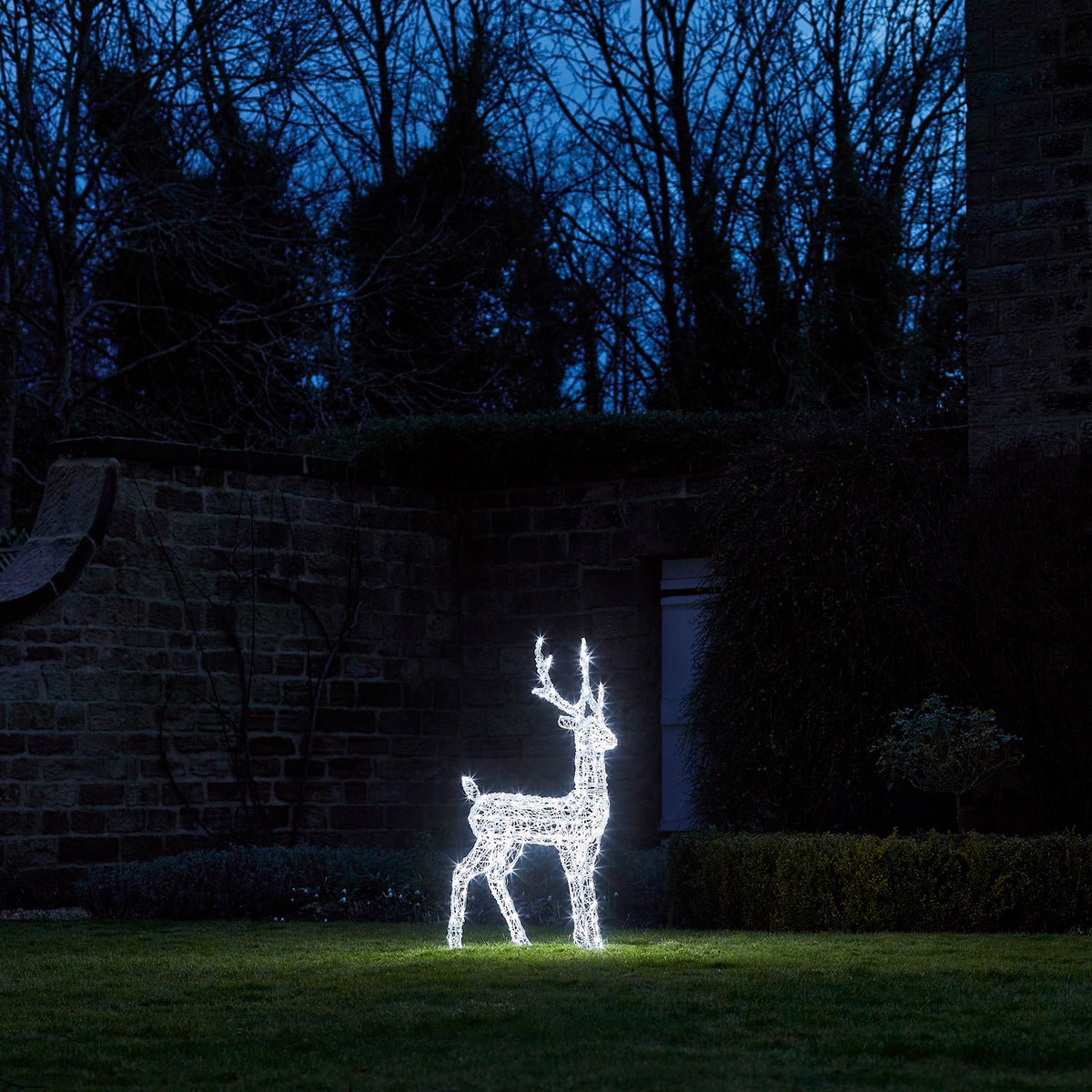LED-Rentier leuchtet nachts auf Rasen vor Haus mit Steinmauer und Hecke